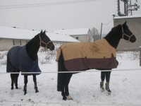 /album/zima/belford-valentyn-jpg/